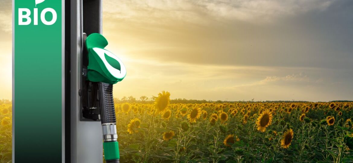 biodiesel-o-que-voce-precisa-saber-brics