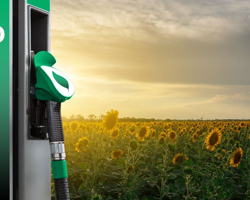 biodiesel-o-que-voce-precisa-saber-brics
