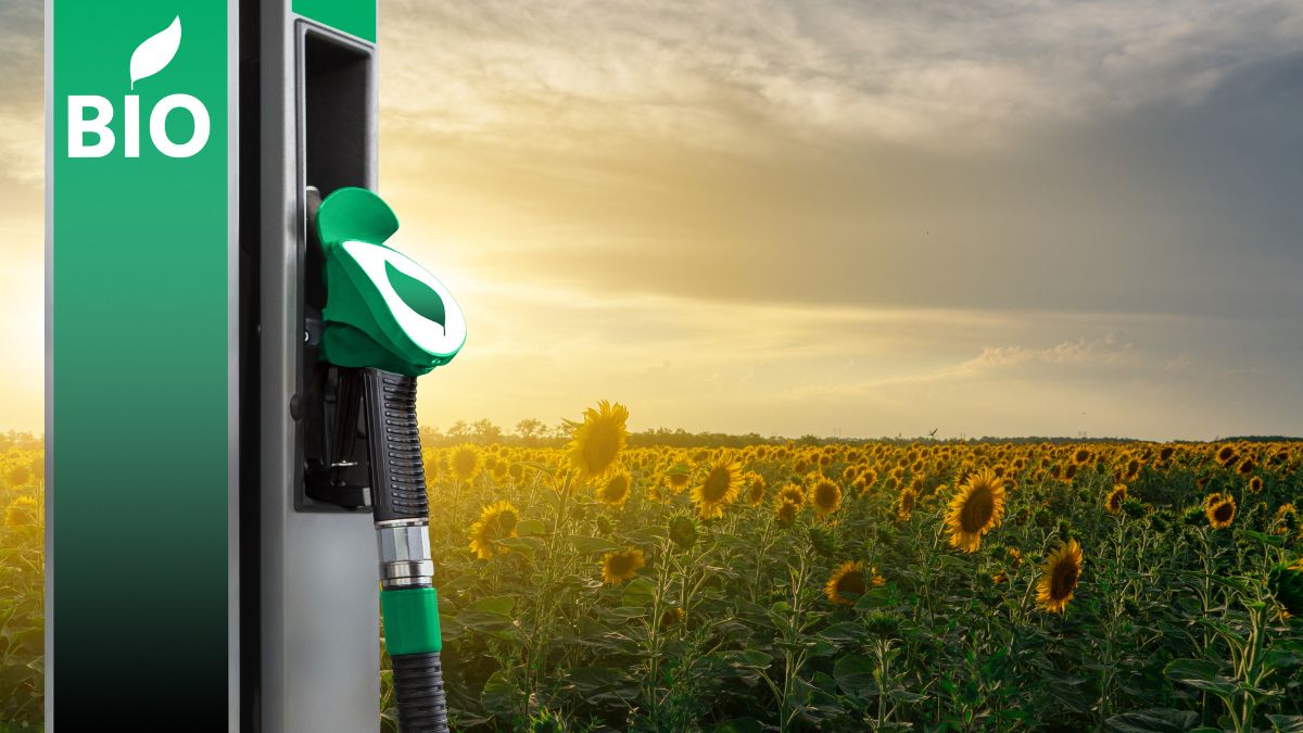 Biodiesel o que você precisa saber BRICS Certificações