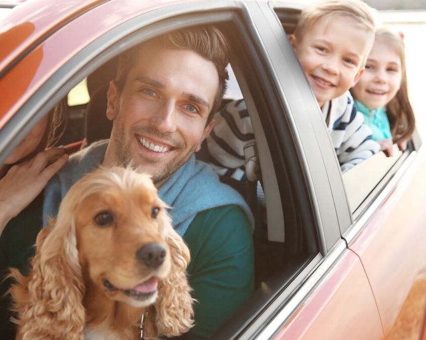 8-dicas-para-uma-viagem-segura-com-seu-animal-de estimação