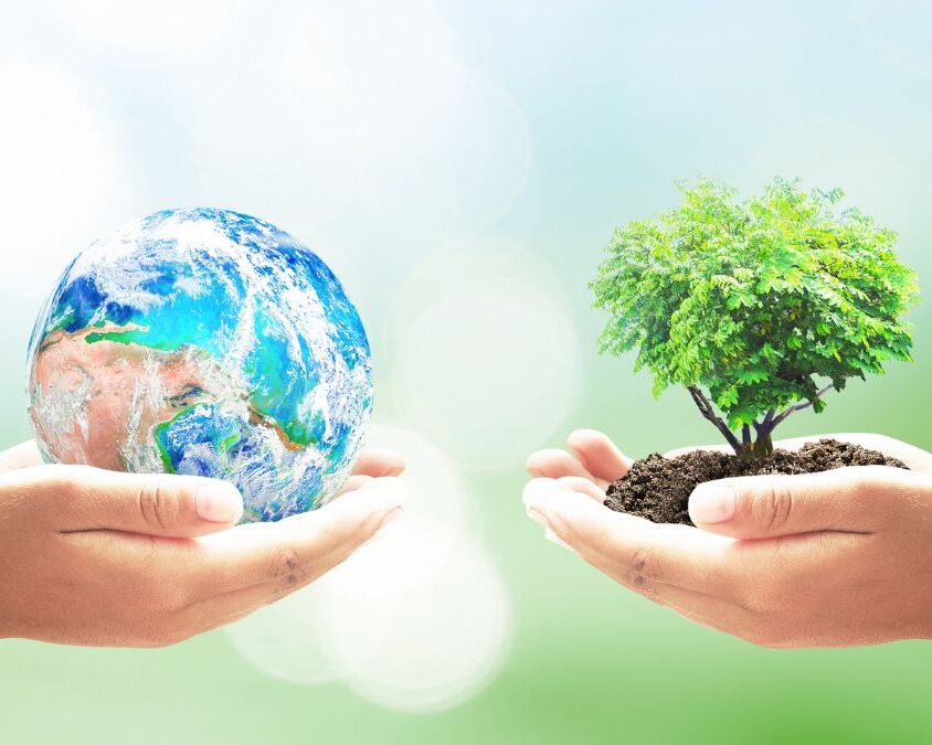 Arla 32 e seu Impacto Positivo no Meio Ambiente
